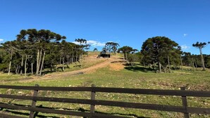 Paisaje rural con un sendero de tierra que lleva a una construcción de madera, rodeado de árboles.