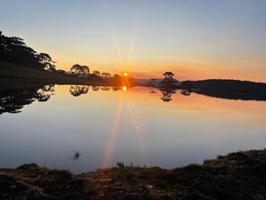 Een rustig meer bij zonsopgang, met bomen die in het water worden weerspiegeld.