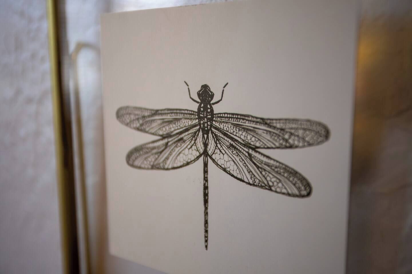 Un dessin en noir et blanc représentant une libellule sur un fond blanc.