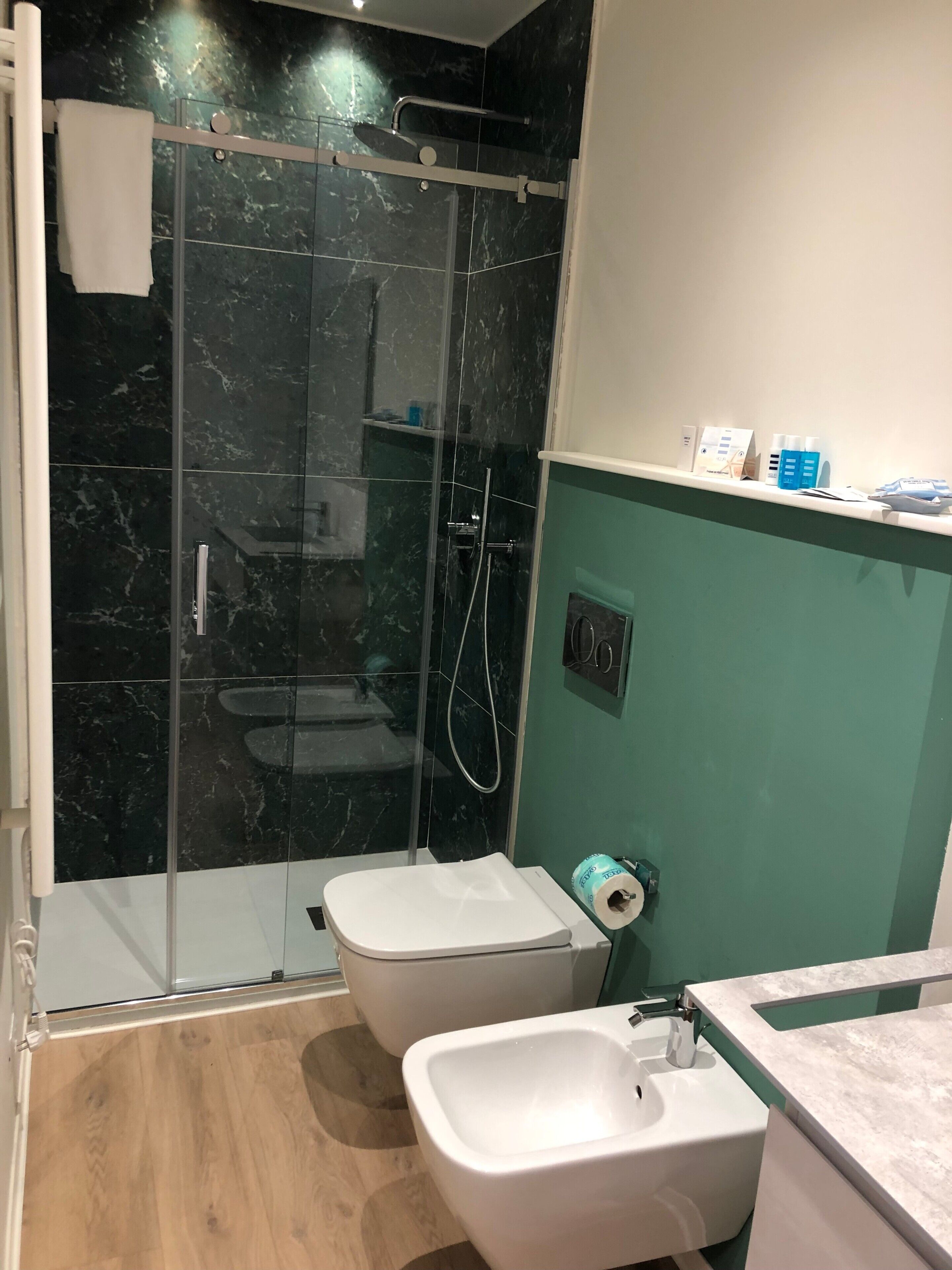 Shower, hair dryer, towels