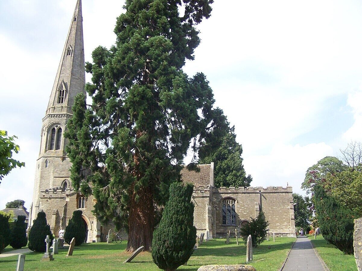 A church with a tall spire and a large tree in front.