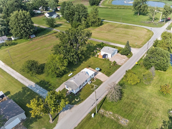 An aerial view of a residential area with houses, a large tree, and a road.