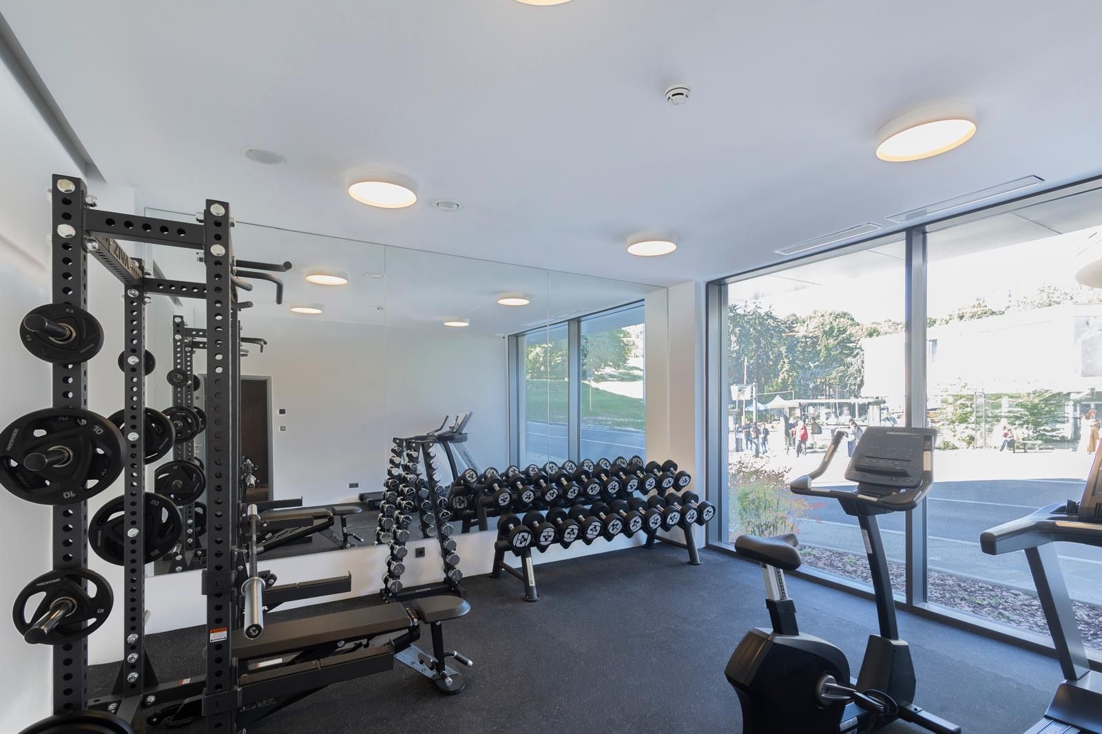 A gym with weightlifting equipment, treadmills, and a bench.