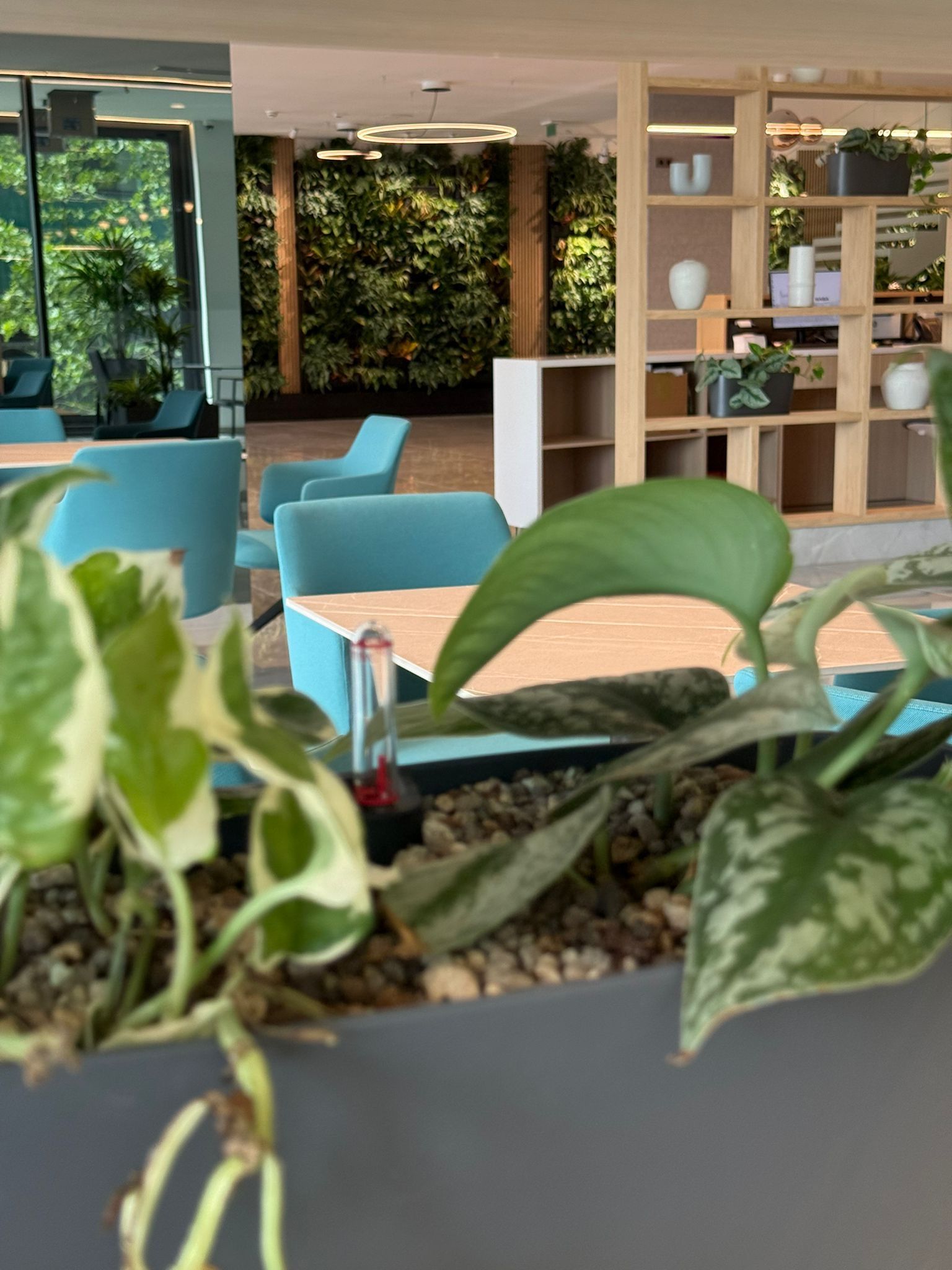 Un espacio interior moderno con asientos, una planta en primer plano y una pared cubierta de vegetación.
