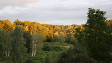 Un paysage naturel composé de différentes espèces d’arbres, avec une colline en arrière-plan.