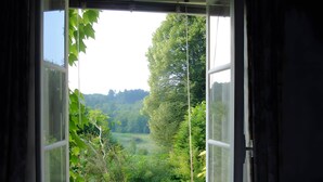 An open window with a view of a green landscape.