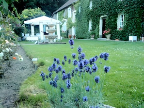 A garden with a fountain, a gazebo, and a house partially covered in ivy.
