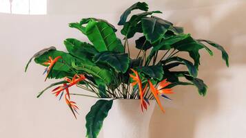 Ein Blumentopf mit einer breiten, grünen Belaubung und orangefarbenen Blüten in einer weißen Vase mit schwarzen Bändern.