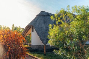A thatched-roof structure with a white wall, surrounded by greenery.