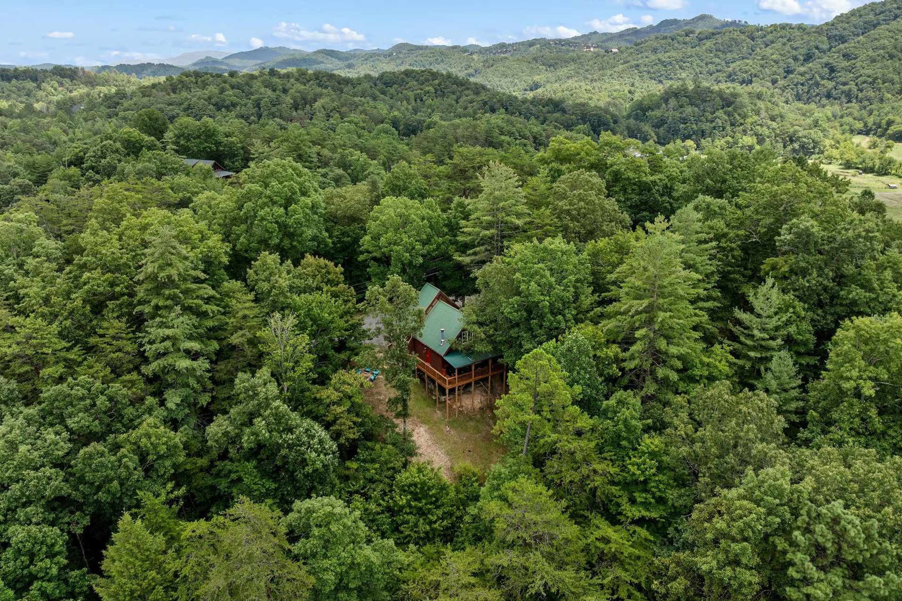 A cabin surrounded by dense forest with a clear view of the surrounding hills.