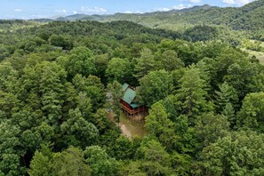A cabin surrounded by dense forest with a clear view of the surrounding hills. - Starlit Ridge - Hot tub Fire Pit Mountain Views (Sevierville)