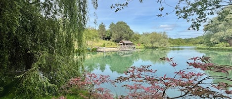 Escena tranquil·la al costat d'un llac amb un moll de fusta i un edifici petit, envoltat de vegetació i arbres frondosos.