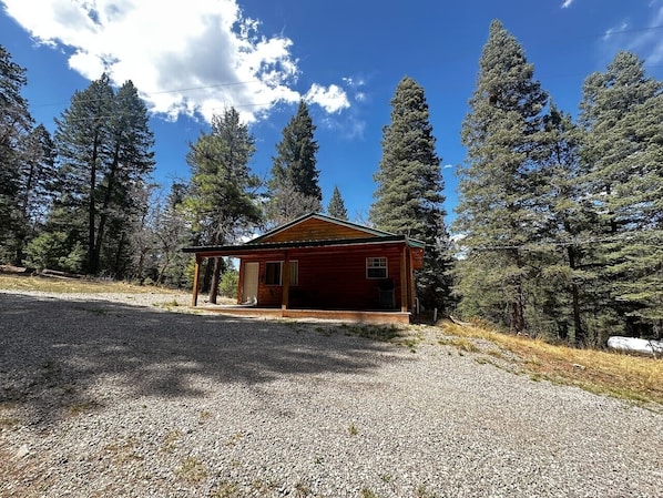 A small cabin with a porch, surrounded by tall pine trees and a clear sky.