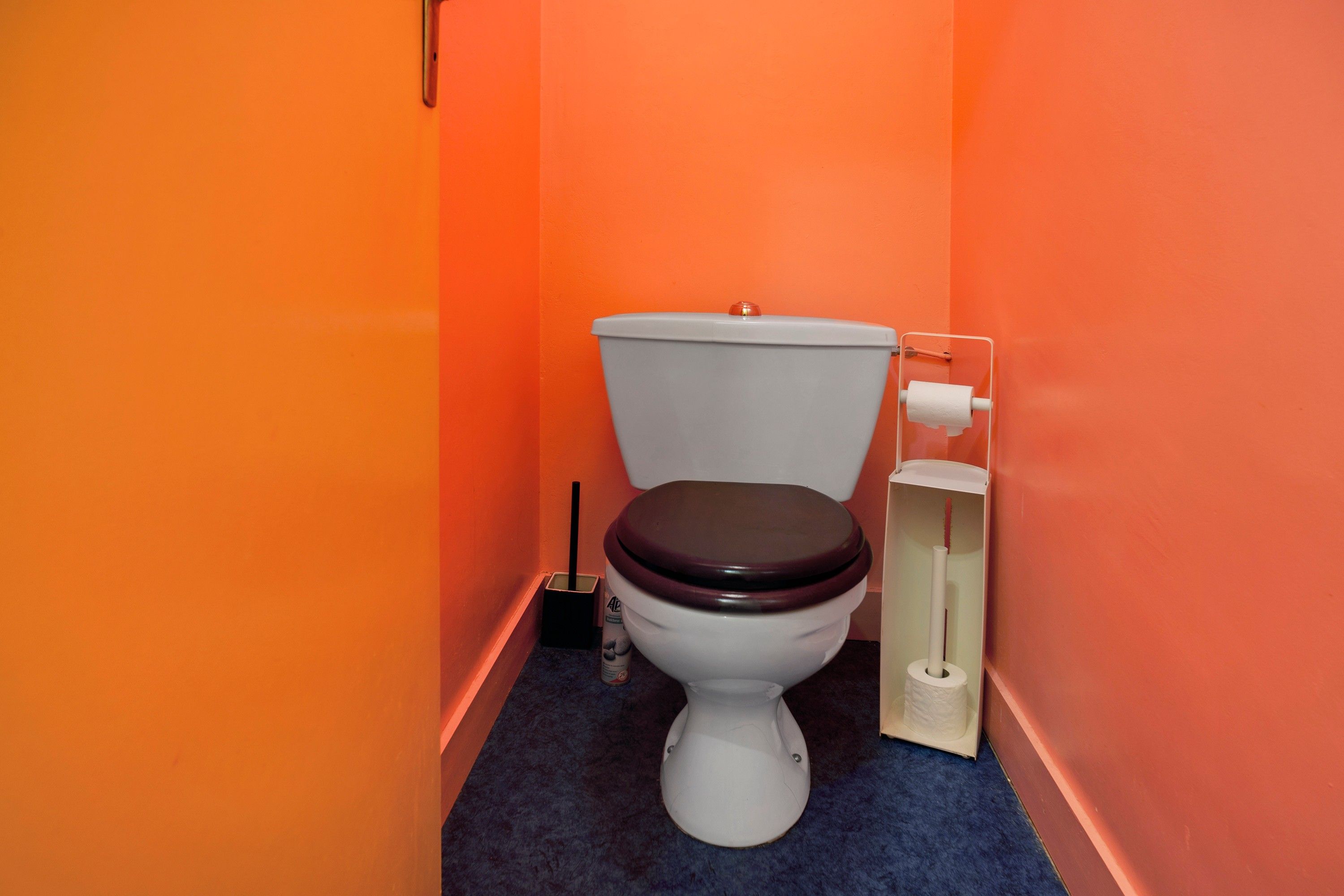Une salle de bain avec des toilettes blanches, un abattant brun foncé et un rouleau de papier toilette posé sur un porte-rouleau.