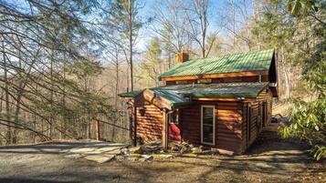 A rustic cabin with a green metal roof, surrounded by a forest.