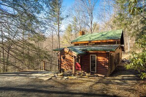 A rustic cabin with a green metal roof, surrounded by a forest.