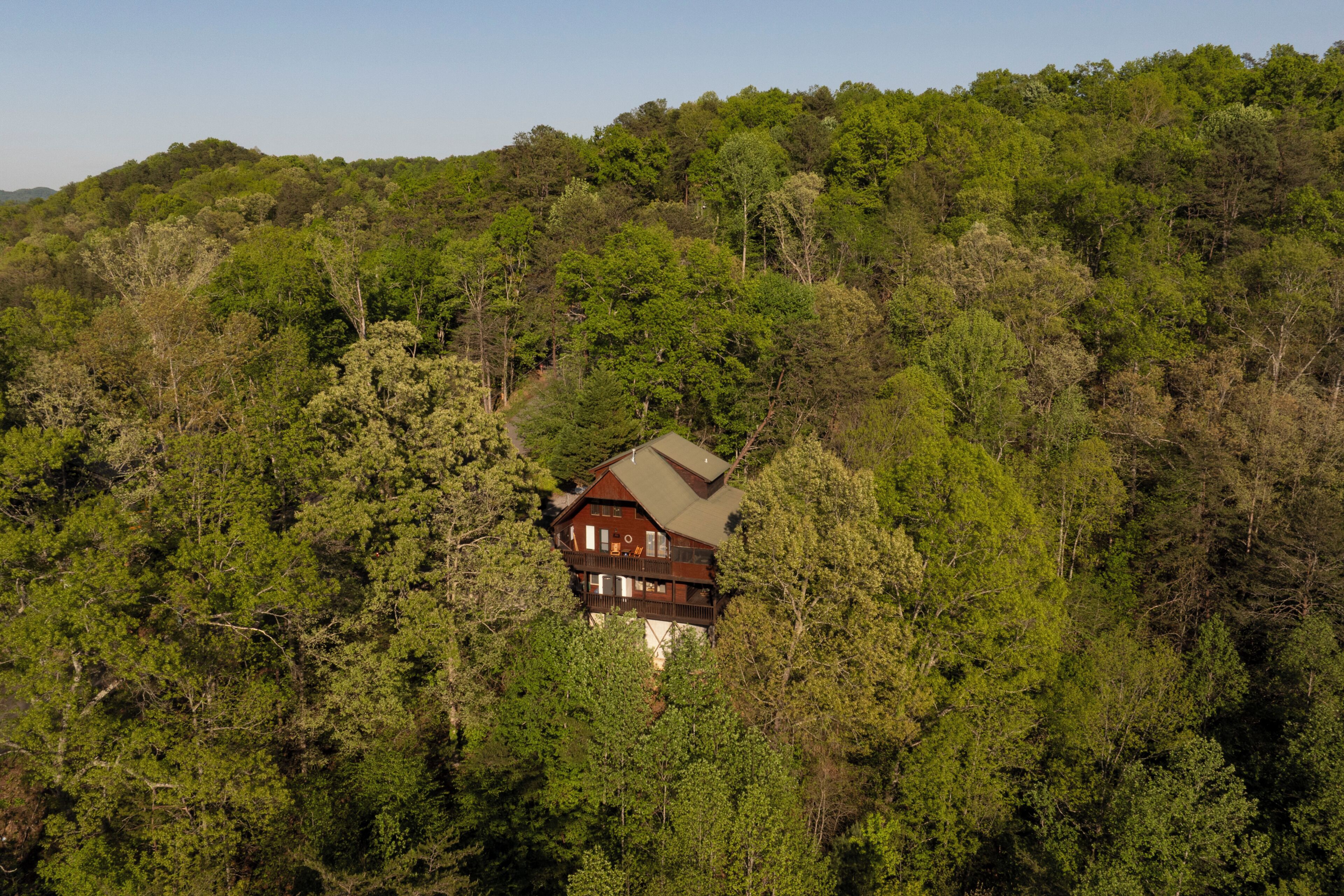 A wooden cabin surrounded by dense forest.