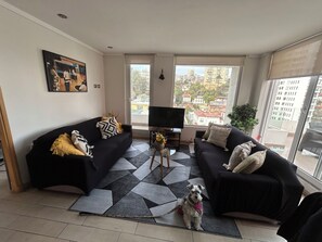 Een woonkamer met een zwarte bank, een televisie en een hond.