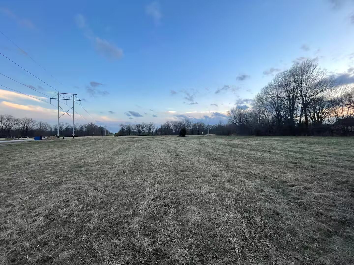 Et stort åbent marklandskab med en højspændingsmast til venstre og nøgne træer i baggrunden.