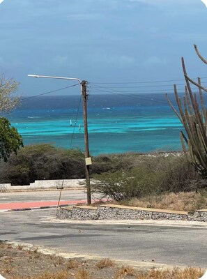A coastal road with a clear view of the ocean and a cactus in the foreground.