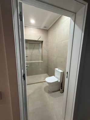 Une salle de bain avec douche, toilettes et un cadre de porte visible.