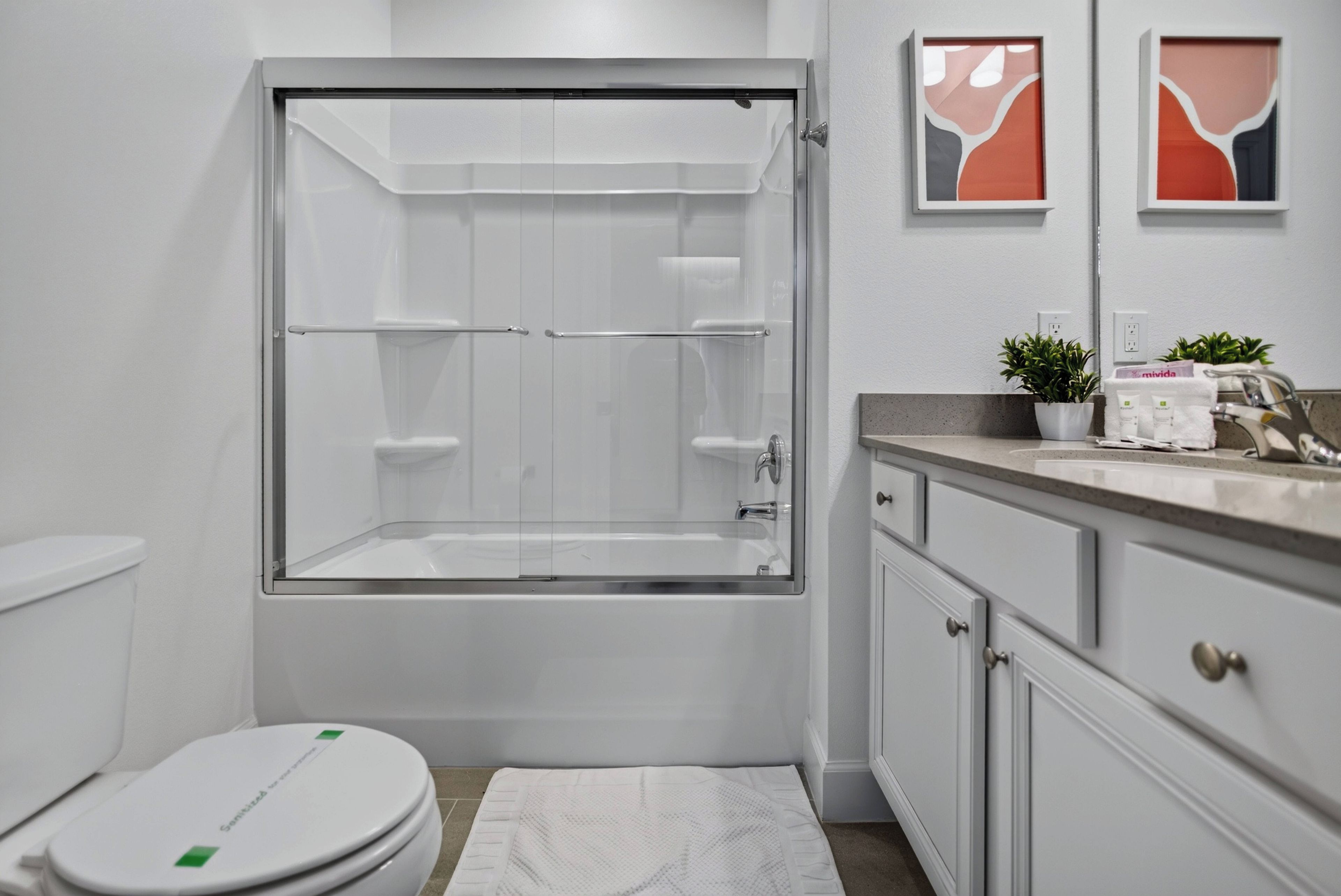 A modern bathroom with a glass-enclosed shower, a toilet, a sink with a countertop, and a potted plant.