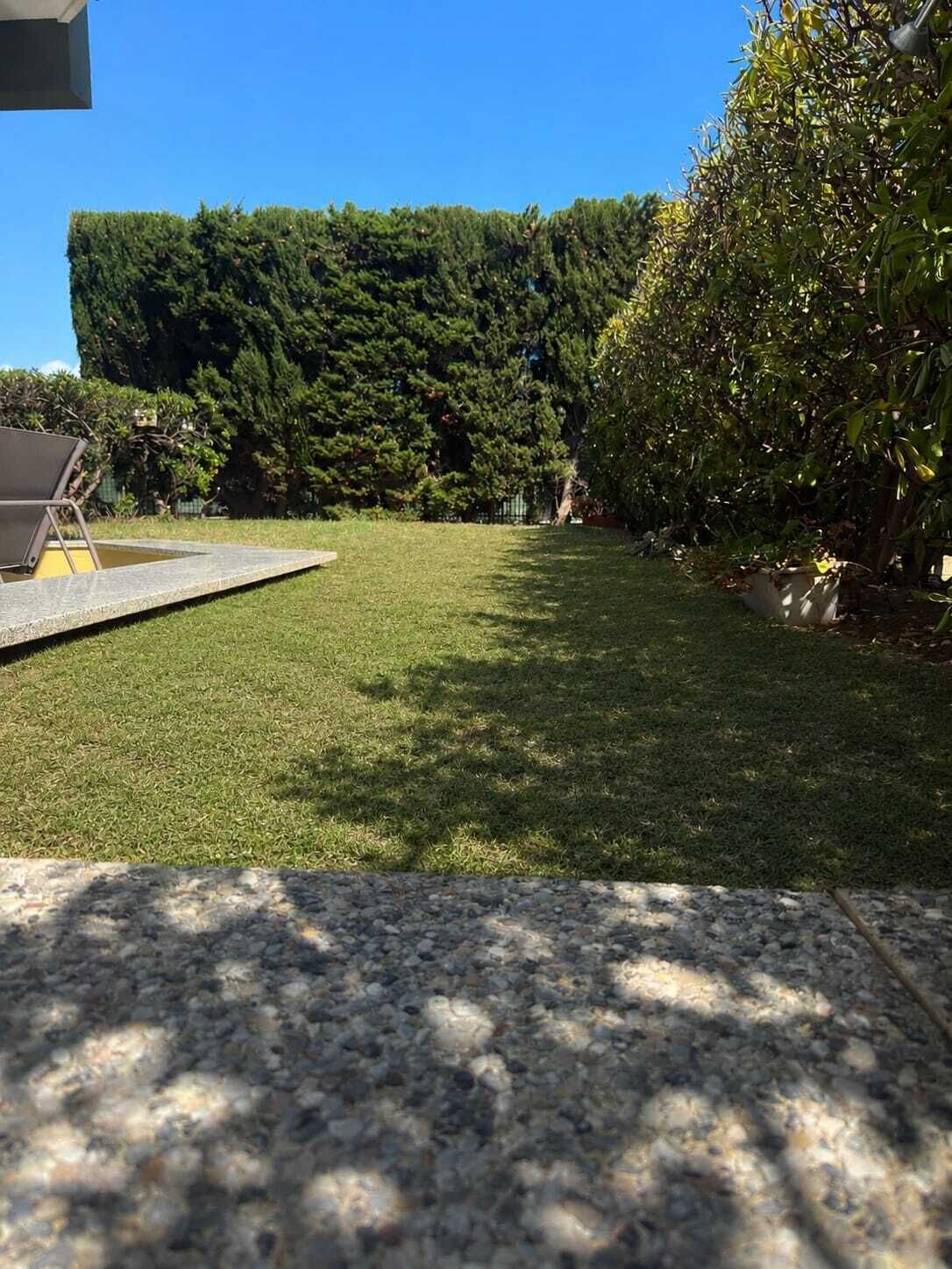 A well-maintained grassy yard with a metal chair and a concrete edge.