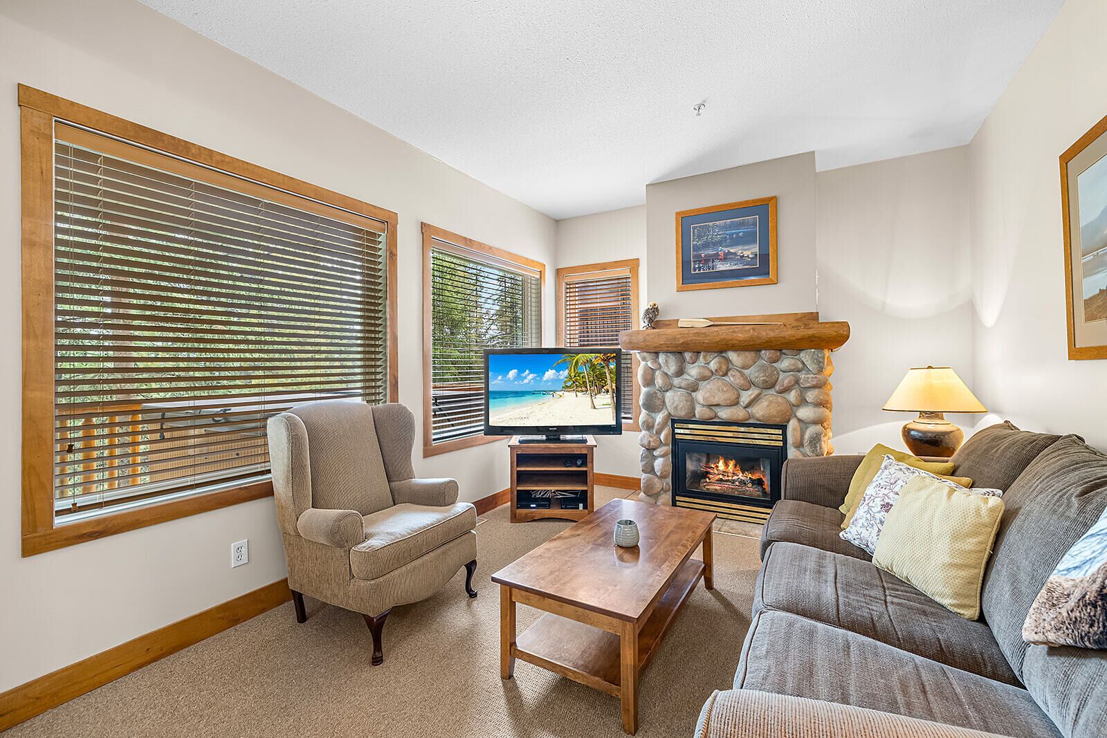 A living room with a fireplace, a television, and a sofa.