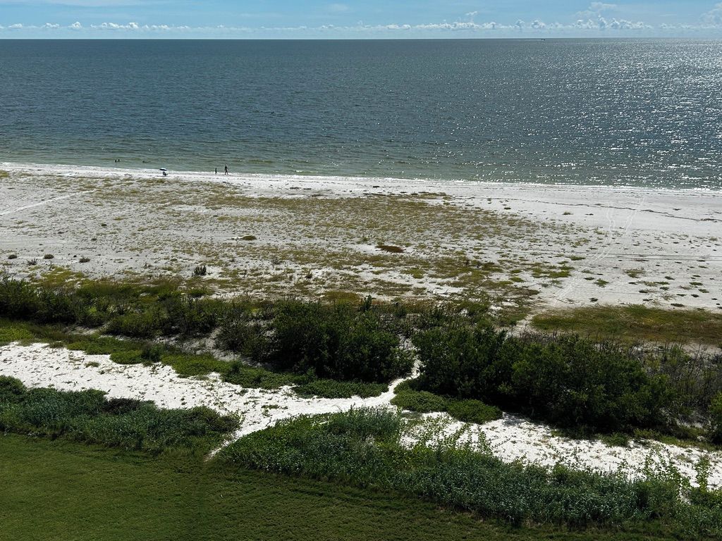 Una playa con vista despejada al océano, una orilla arenosa y algo de vegetación al frente.