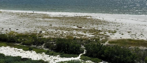 A beach with a clear view of the ocean, a sandy shoreline, and some vegetation in the foreground.