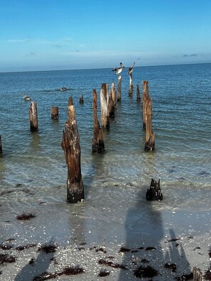 A coastal scene with wooden posts in the water and a clear sky. - NEW LISTING - 1 bedroom condo in FMB on the 7th floor with direct gulf views. (Fort Myers Beach)