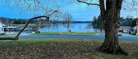 A tree-lined view with a body of water in the background.