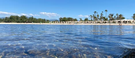 On voit clairement une plage avec un rivage rocheux, des palmiers et, au loin, des parasols de plage.