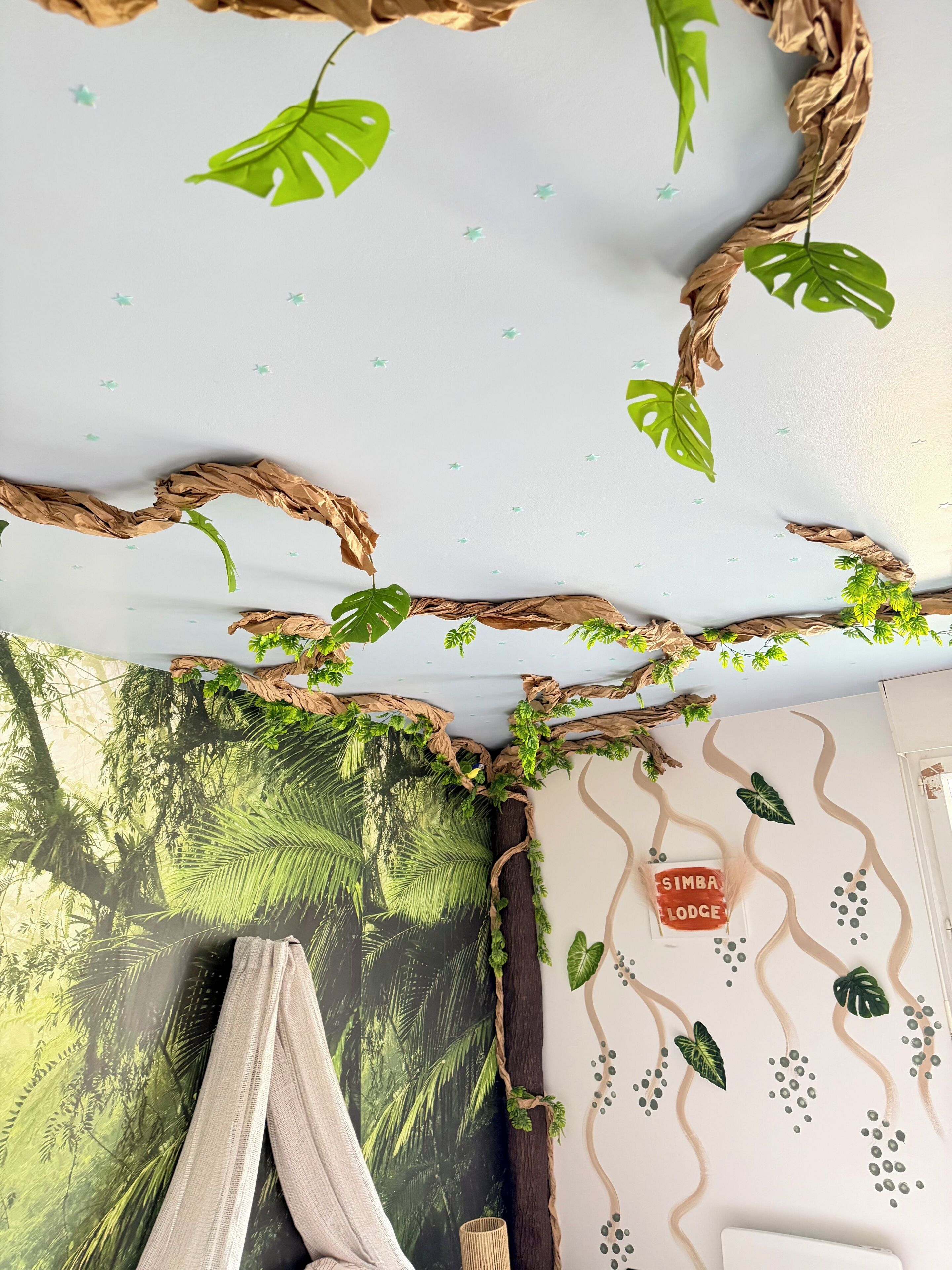 A room with a wall decorated with a nature-themed mural, a hanging plant, and a sign that reads 'SIMBA LODGE'.