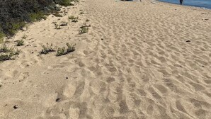 Uma praia arenosa com uma tenda e uma estrutura azul, provavelmente um toboágua, sob um céu claro.