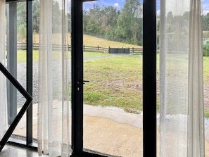 A view through a glass door of a grassy outdoor area with a wooden fence and trees in the background.