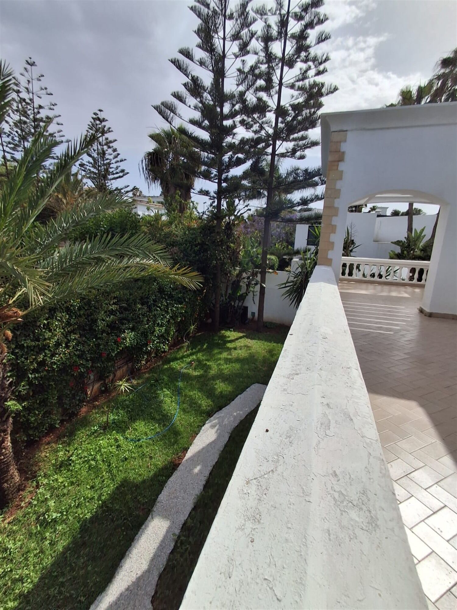 Un espacio al aire libre con pavimento, una pared blanca y una palmera.