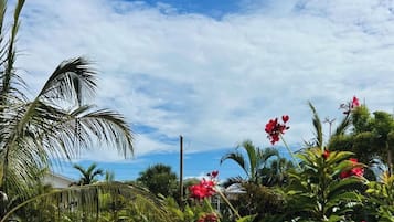 Zona de piscina con sillones de descanso y plantas tropicales.