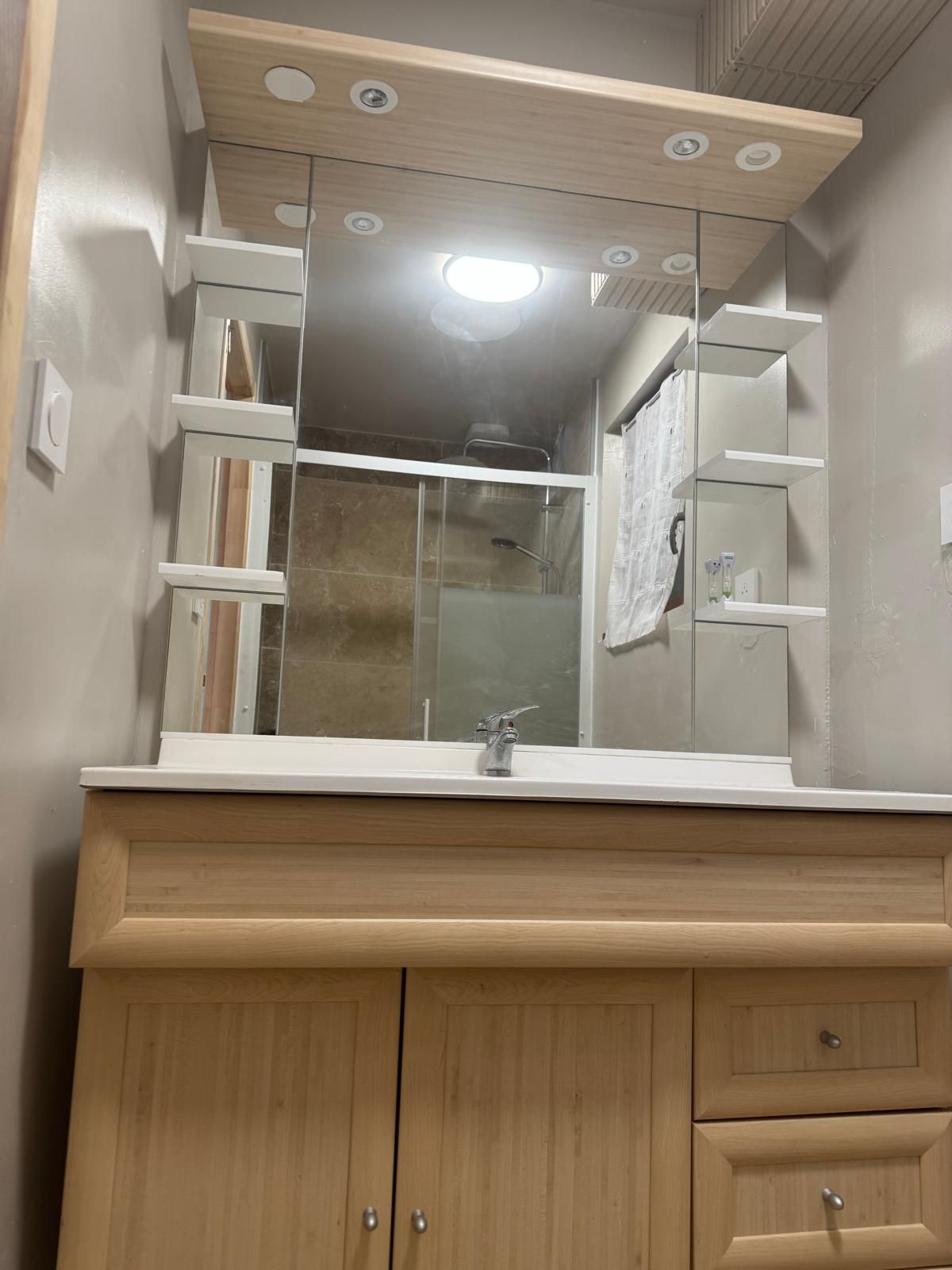 Shower, towels, toilet paper