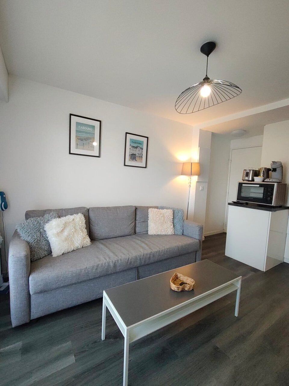 A living room with a grey sofa, a coffee table, and a pendant light.