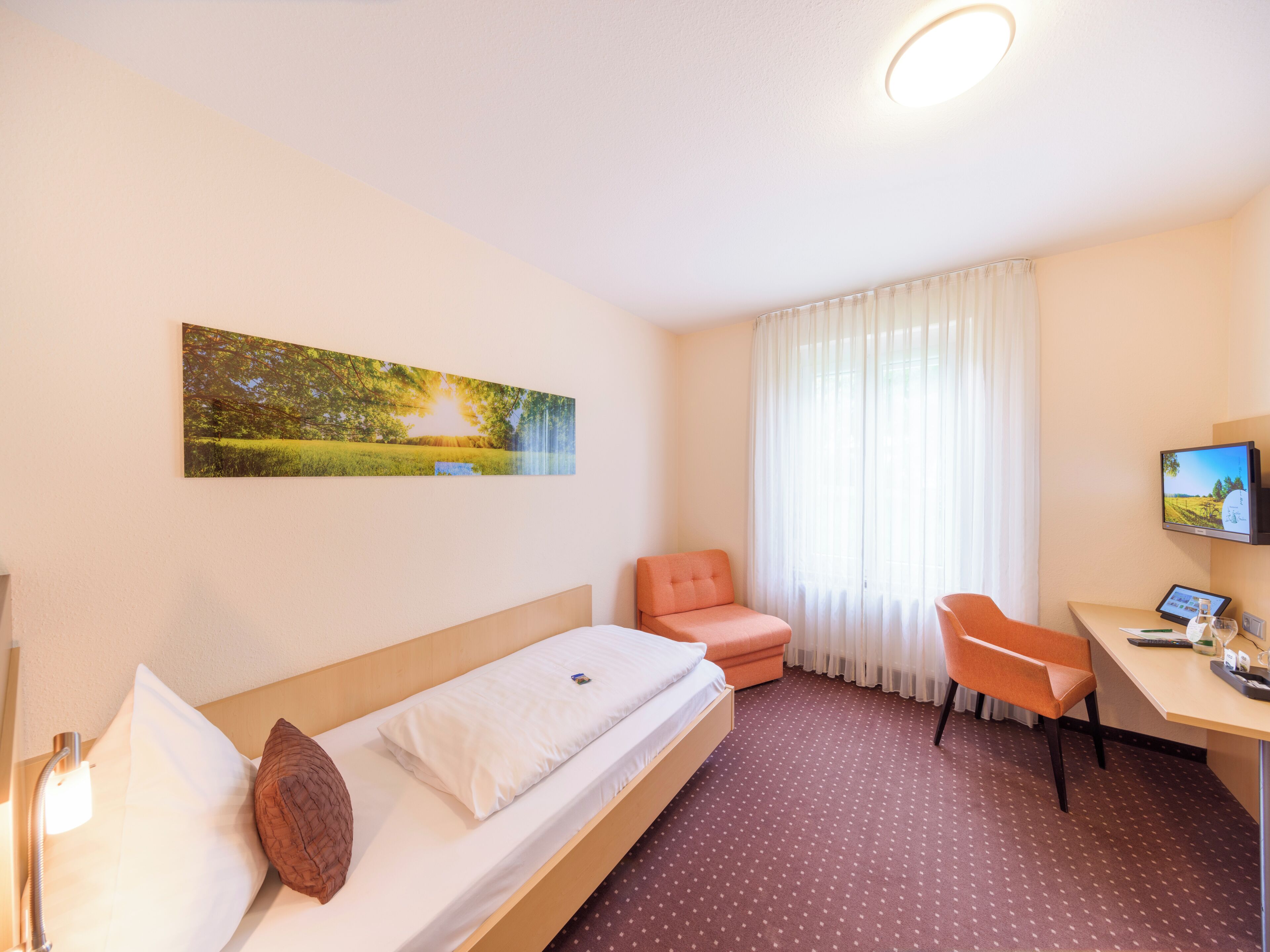 Une chambre d’hôtel avec un lit, un bureau, une chaise, une télévision et un tableau au mur.