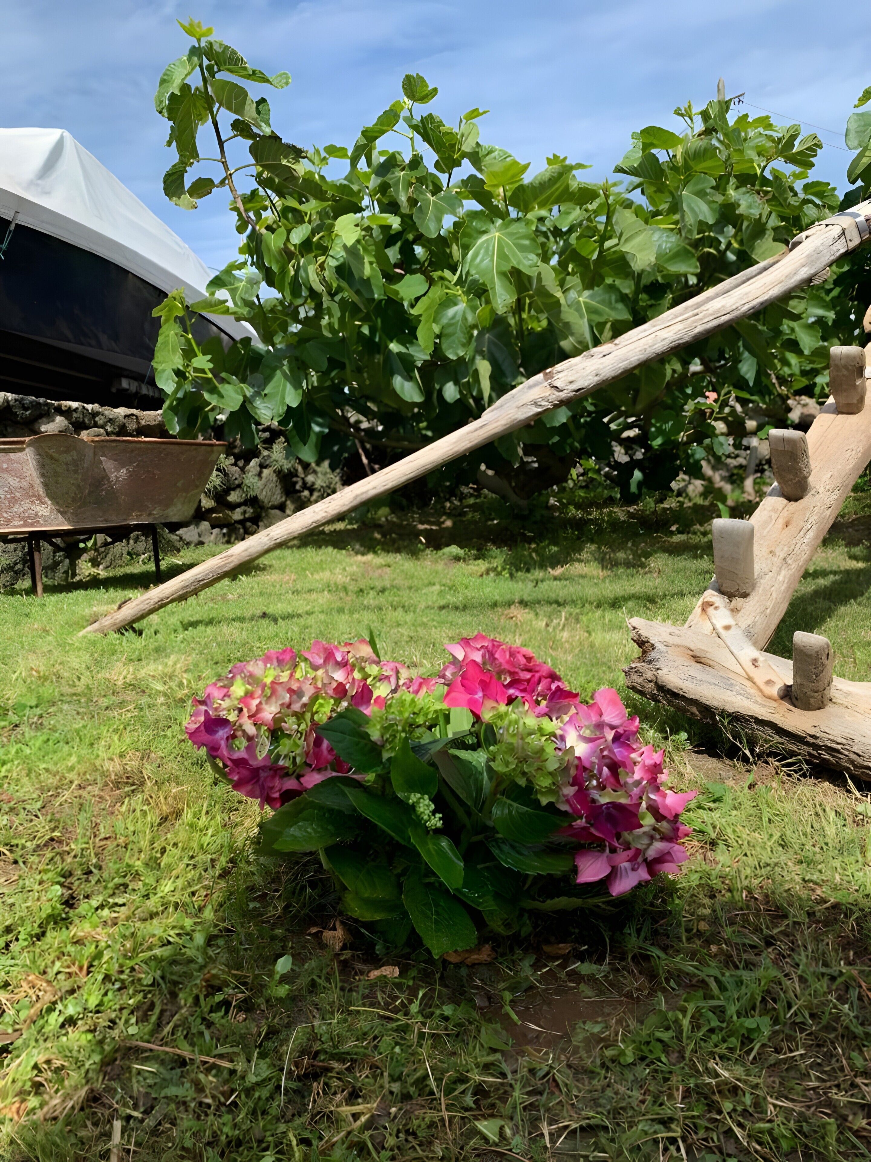 Ein Garten mit Blumenbeet, einer Holzschaukel und einem Schubkarren.