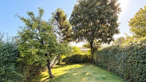 Um jardim bem cuidado, com diversas árvores e uma sebe aparada.