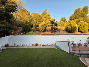 A landscaped backyard with a white wall, a grassy lawn, and various potted plants. - Spacious 4-bedroom house with pool in perfect Los Angeles neighborhood (Los Angeles)