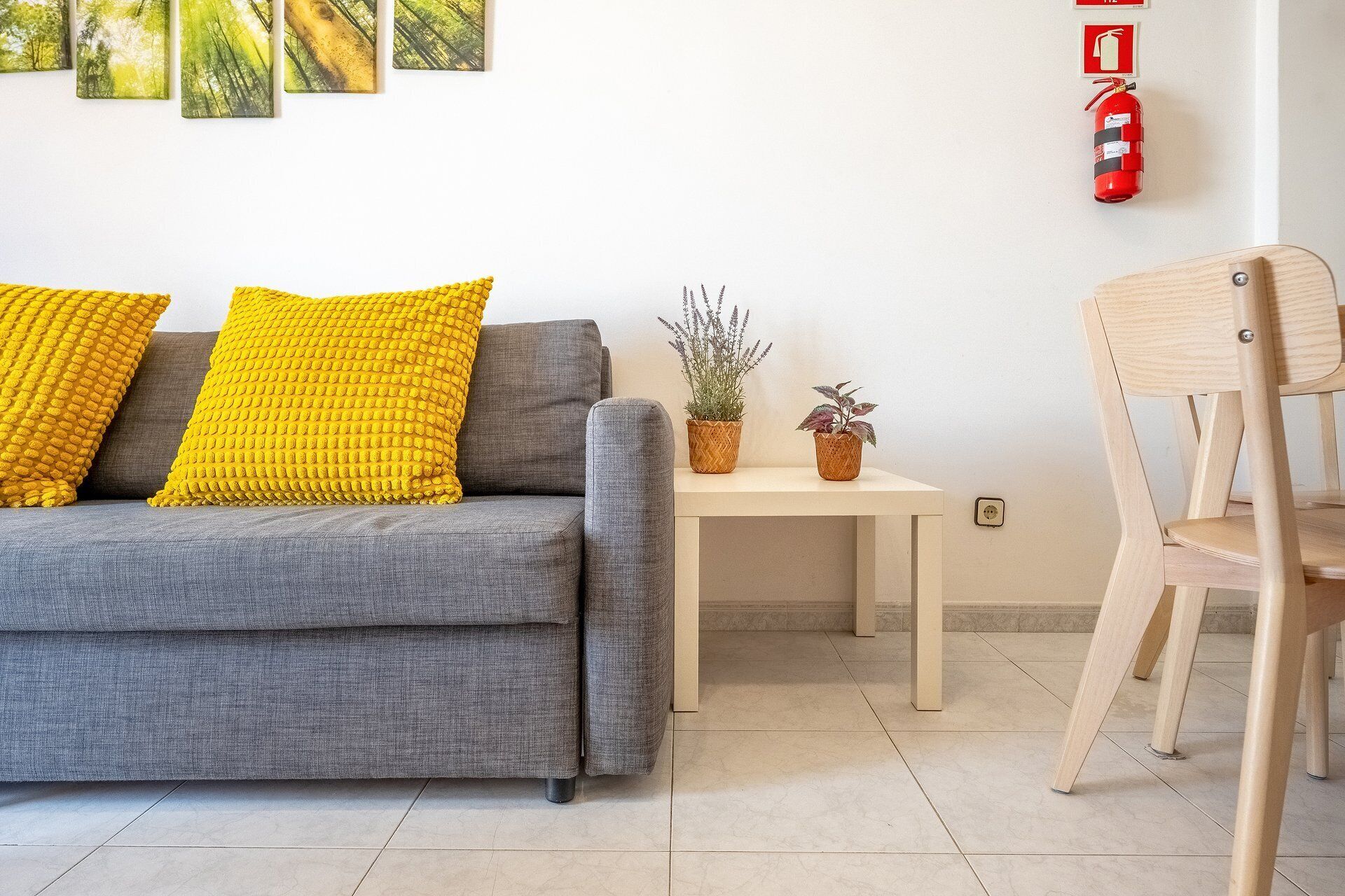 Un salon avec un canapé gris, deux coussins jaunes, une petite table sur laquelle sont posées deux plantes en pot, une chaise en bois et un extincteur fixé au mur.