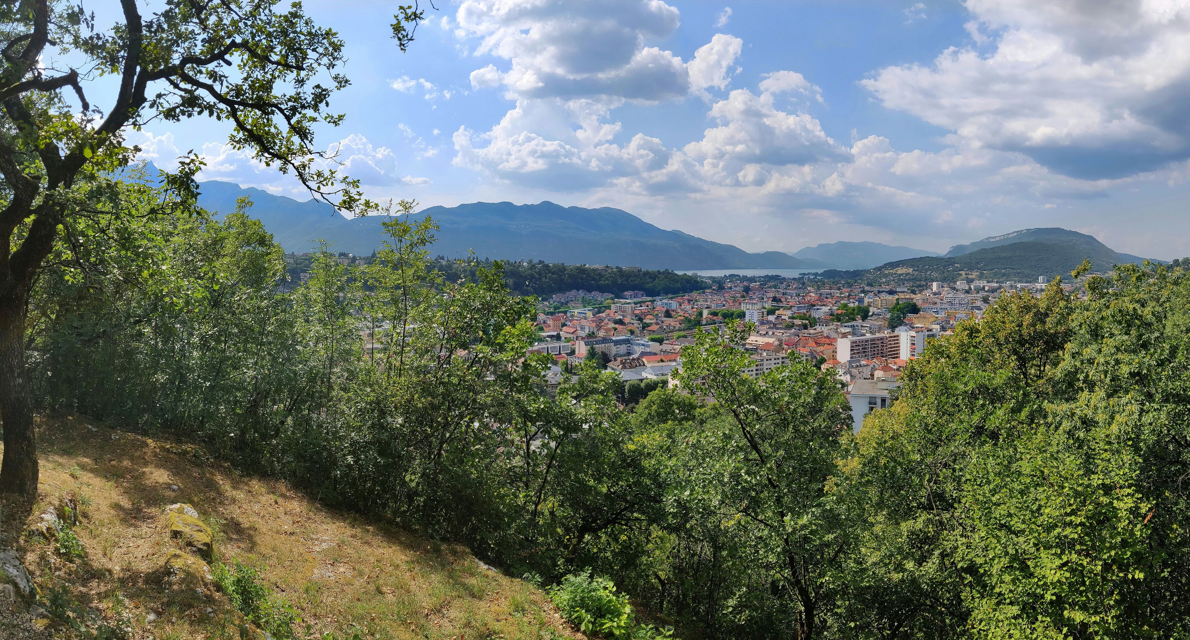 Miscelánea