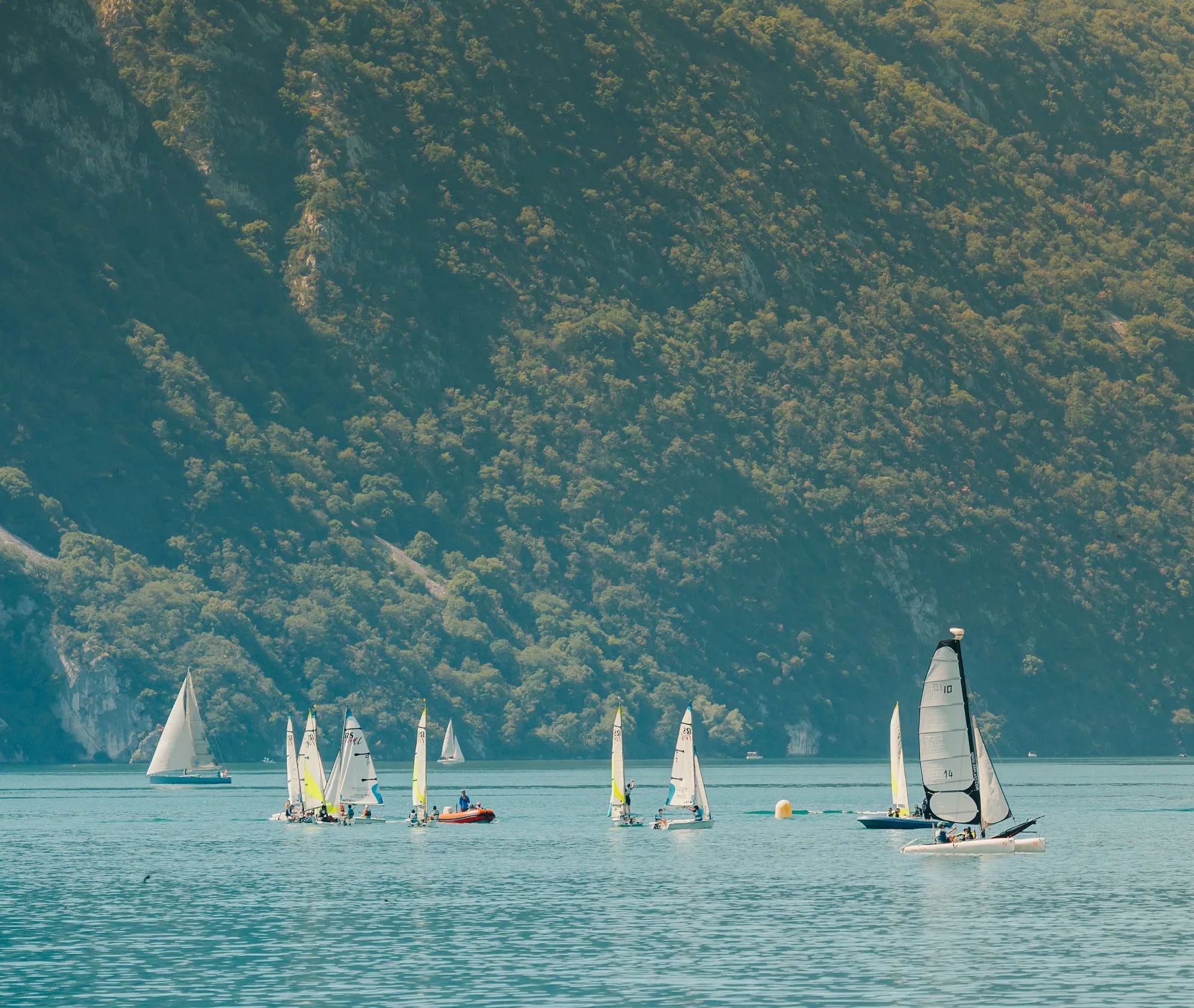 Un groupe de voiliers sur une étendue d’eau calme, avec une colline boisée en arrière-plan.