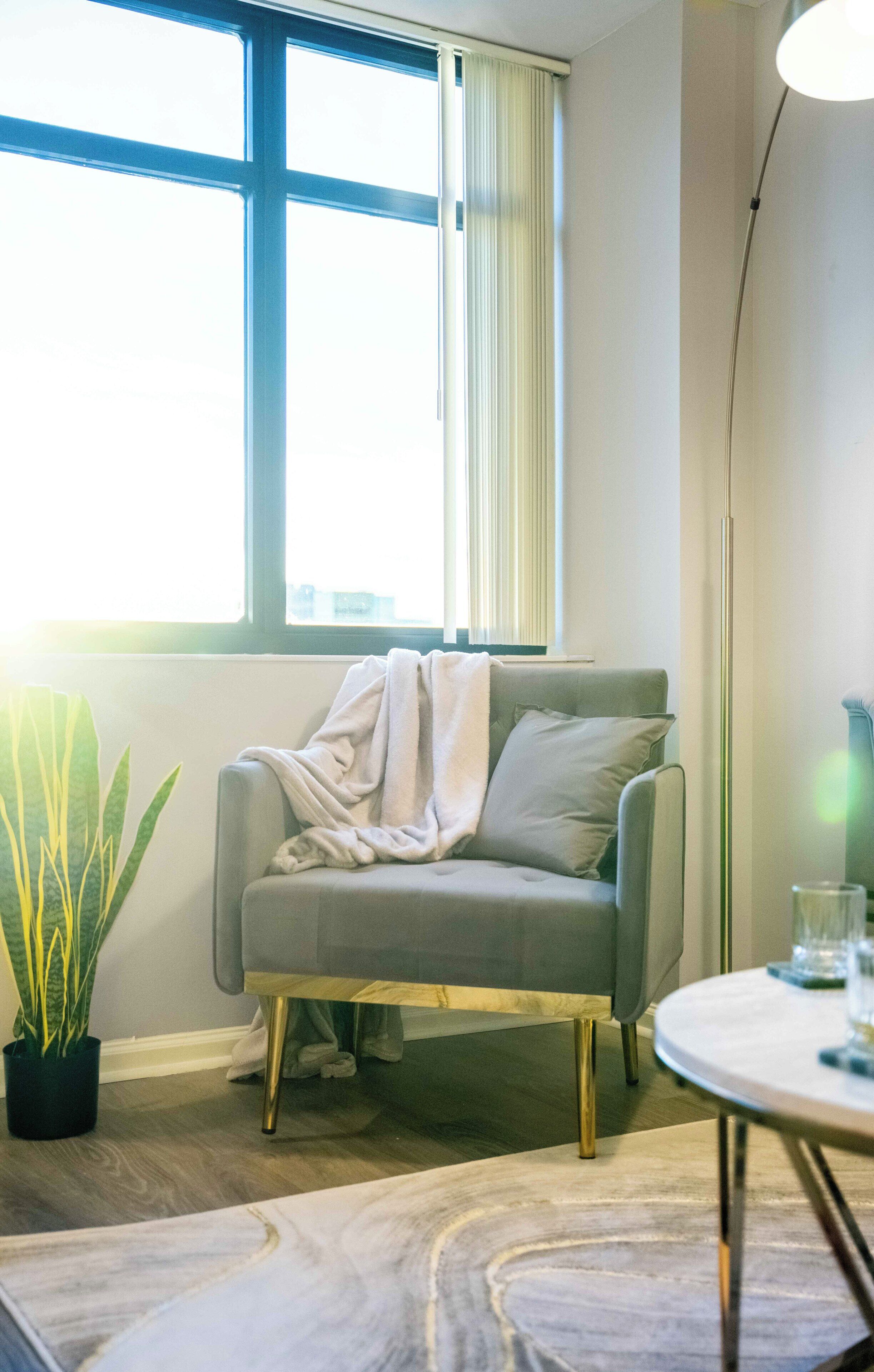 A room with a grey sofa, a round table, a potted plant, and a window with blinds.