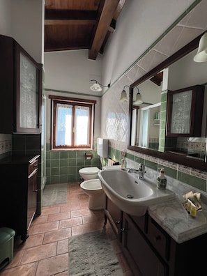 A bathroom with a large sink, toilet, and mirror. There is a window with curtains and a towel rack. - Cozy stone house surrounded by greenery (Emilia-Romagna)