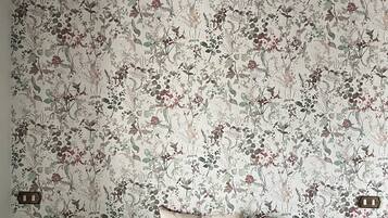 Iron/ironing board, WiFi (free), bed sheets